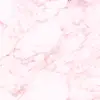 Michelledalessandro - @.michelle.dalessandro - TikTok