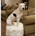 Michelle Palozzi Damiani - @damiani_michelle - Instagram