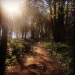 Michelle Darby - @michelle.darby.79 - Instagram