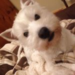 Michelle Mc Darby - @michelledarby6445 - Instagram