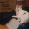 Michele Daum - @michele.daum - TikTok