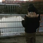 Michelle Daumann - @michelledaumann - Instagram
