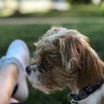 Michelle DeCoste - @decoste38 - Instagram