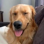Michelle DeCoste Fillmore - @miramom26 - Instagram