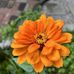Michelle Deel - Facebook
