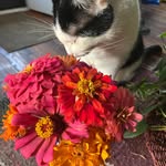 Michelle Deel - @color_me_knits - Instagram