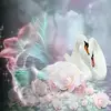 Michelle Deister - @michelledeister - TikTok