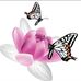 Michelle M Dejohnette Speaks - Facebook