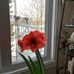 Michelle Déry - Facebook