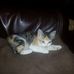 Michelle Dery - Facebook