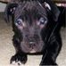 Michelle Dery - Facebook