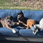 Michelle Stoelb DeVaney - @mddevane73 - Instagram