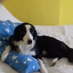 Michelle Dew - Facebook