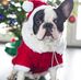 Michele Deutsch - Facebook