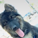 Bruno Michelle Abad Digregorio - @brunomichelledg - Instagram