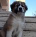 Michele Digregorio - Facebook