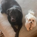 Michelle DiGregorio - @michdi123 - Instagram