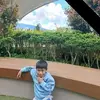 Michelle Dingle - @michelle.dingle3 - TikTok