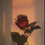 Michelle - @michelledittmann2020 - Instagram