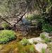 Michelle Dittman - Facebook