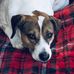 Michelle Dittmar - Facebook