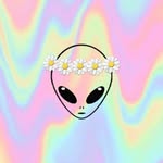 Michelle  Donato - @donato509 - Instagram