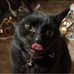 Michelle Doney - Facebook