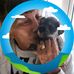 Michelle O Donnell - Facebook