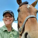 Michelle Dooley - @chaos_on_the_farm_sport_horse - Instagram