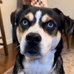 Michelle Dooley - @mommymonkey73 - Instagram