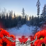 Michelle Dorner - Facebook