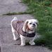Michelle Doughty - Facebook