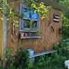 SeeShell by the Garden - @michelledudas662 - TikTok