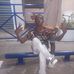 Michel Djams - Facebook