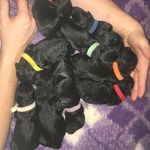 Michelle Durant - @starlightstardogscats - Instagram