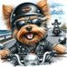 Michele Easterday - Facebook