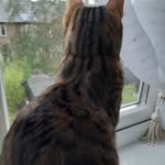 Michelle Eastham - @easthammichelle21 - Instagram