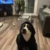 michelleeasthamla - @michelleeasthamla - TikTok