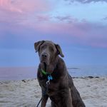 Michelle Eberly - @mah386 - Instagram