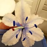 Michelle Eck - @meck2468102018 - Instagram