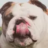 michelleeckstein4 - @michelleeckstein4 - TikTok