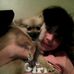 Michelle Eckenrode - Facebook