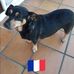 Michelle Elia - Facebook
