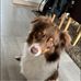 Michel Ellinger - Facebook
