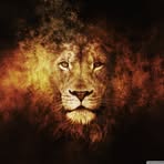 Michele Ellinger - Facebook