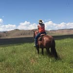 Michelle Asche-Ellinger - @ascheellinger - Instagram