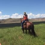 Michelle Asche-Ellinger - @michelleascheellinger - Instagram