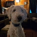 Michelle Ellinger Dressler - @harmonboys02 - Instagram
