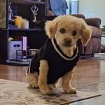 Michelle Emig - @memig616 - Instagram