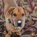 Michelle Emmott - Facebook